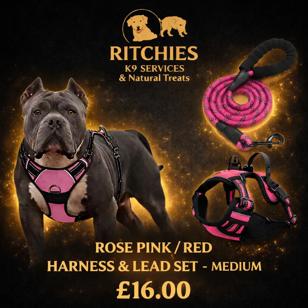 8228832161181-u3lj2cagg53jig7bf499a-rose-pink-mudium thumbnail image