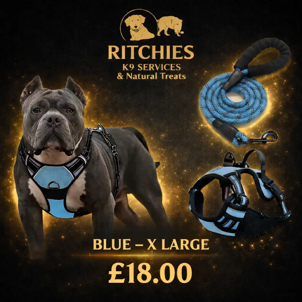 8228832393856-8semqtu4ab8g1hgltn4kn4-blue-harness-n-lead-XL thumbnail image