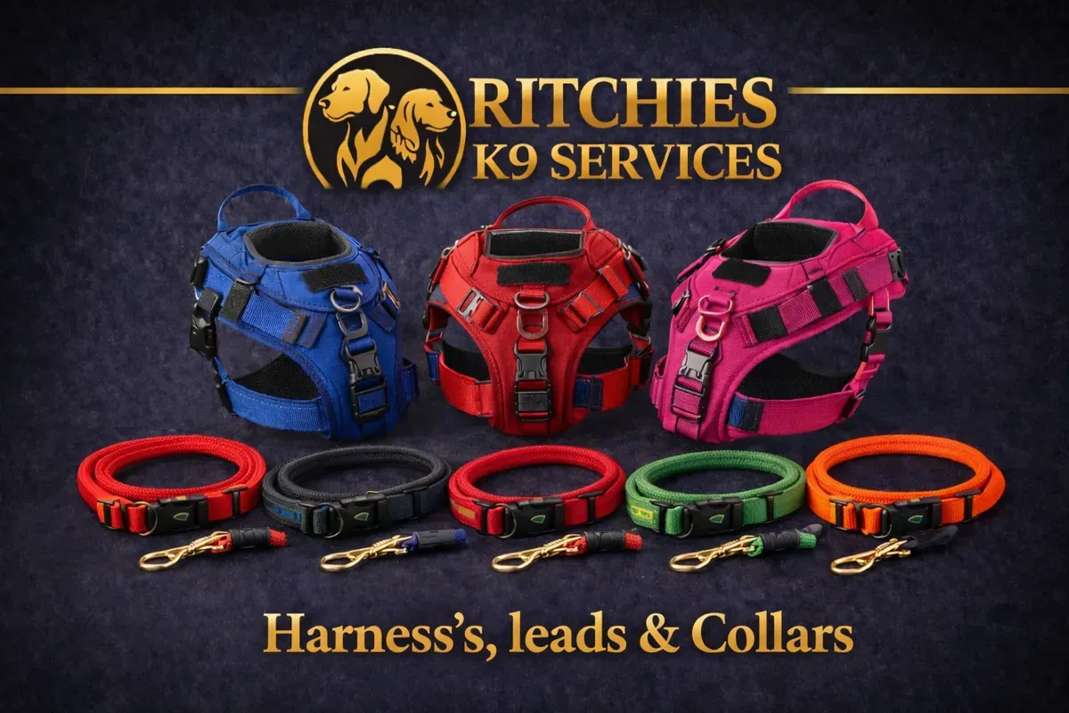 8228857830984-k8zw2trst3k7vs73fyhwin-harness-leads-and-collars collection background image