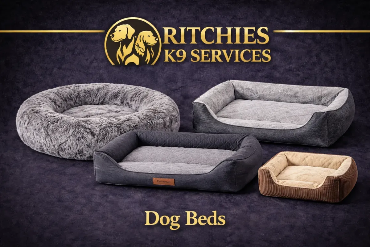 8228890186377-ez0ep4163fnckssqyynyj-beds collection background image