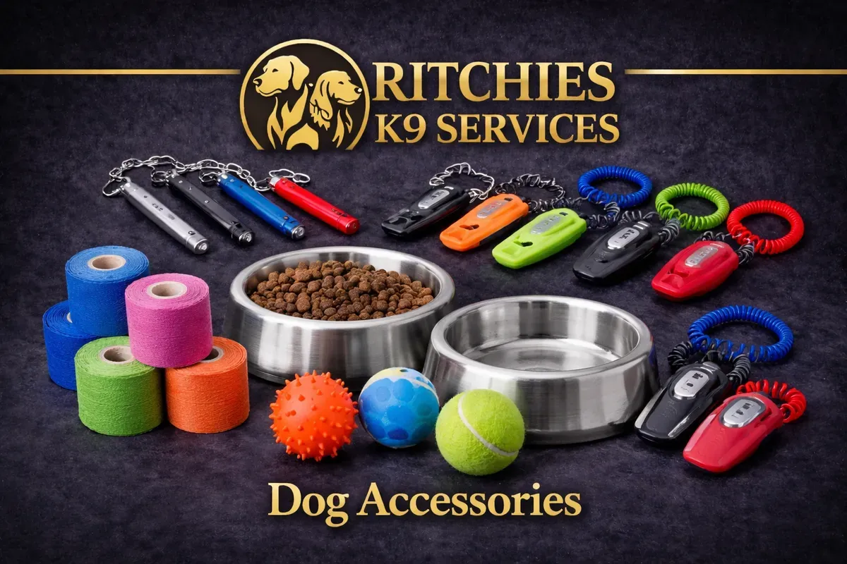 8228891002376-nhnn2bj2sgee7vak2l2ba-accesories collection background image