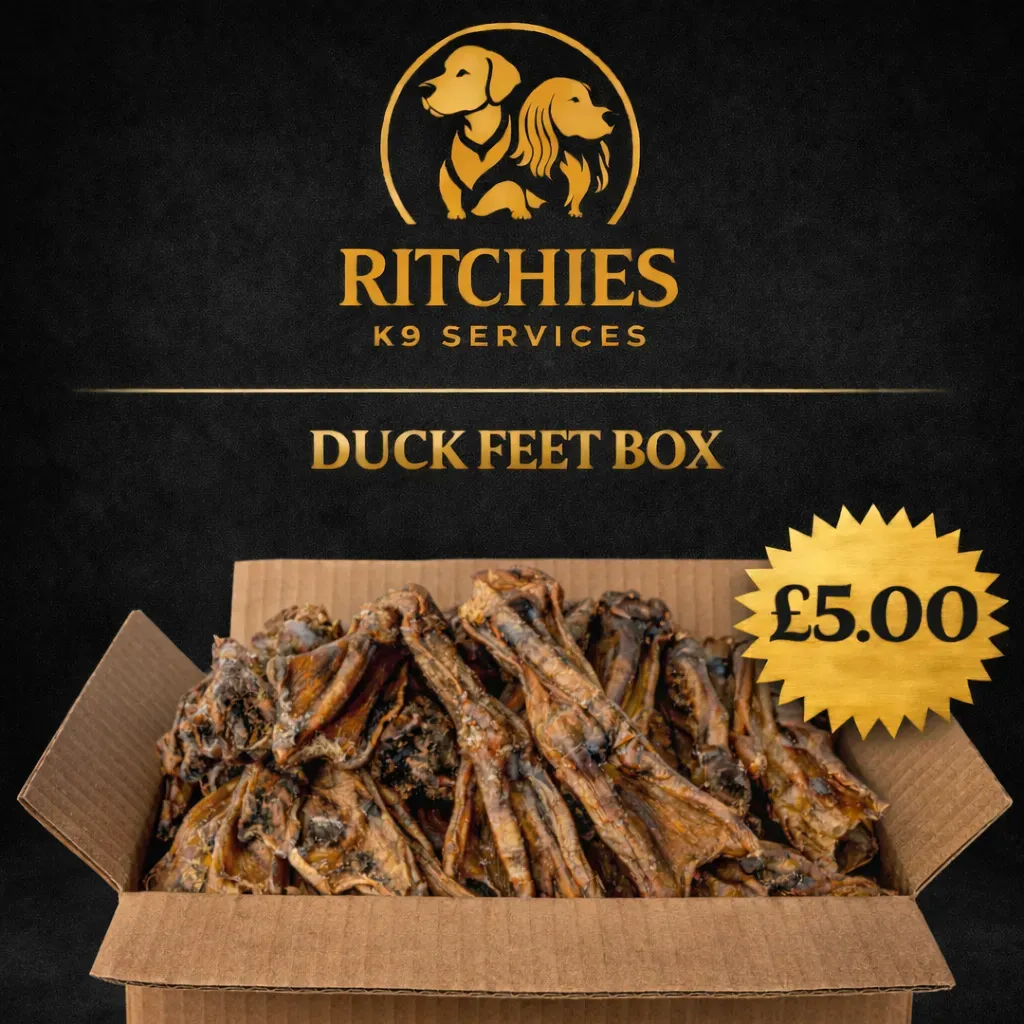 8228896798600-s4y1iu4zxeoeb9tg6f3x-duck-box thumbnail image