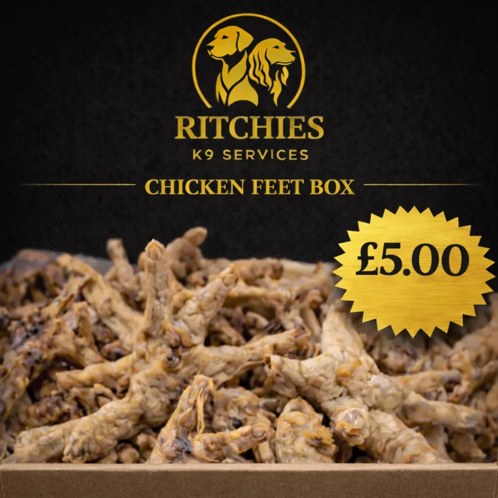 8228897162495-etjm64pc0w47g2cr64c1rq-chicken-feet-box thumbnail image