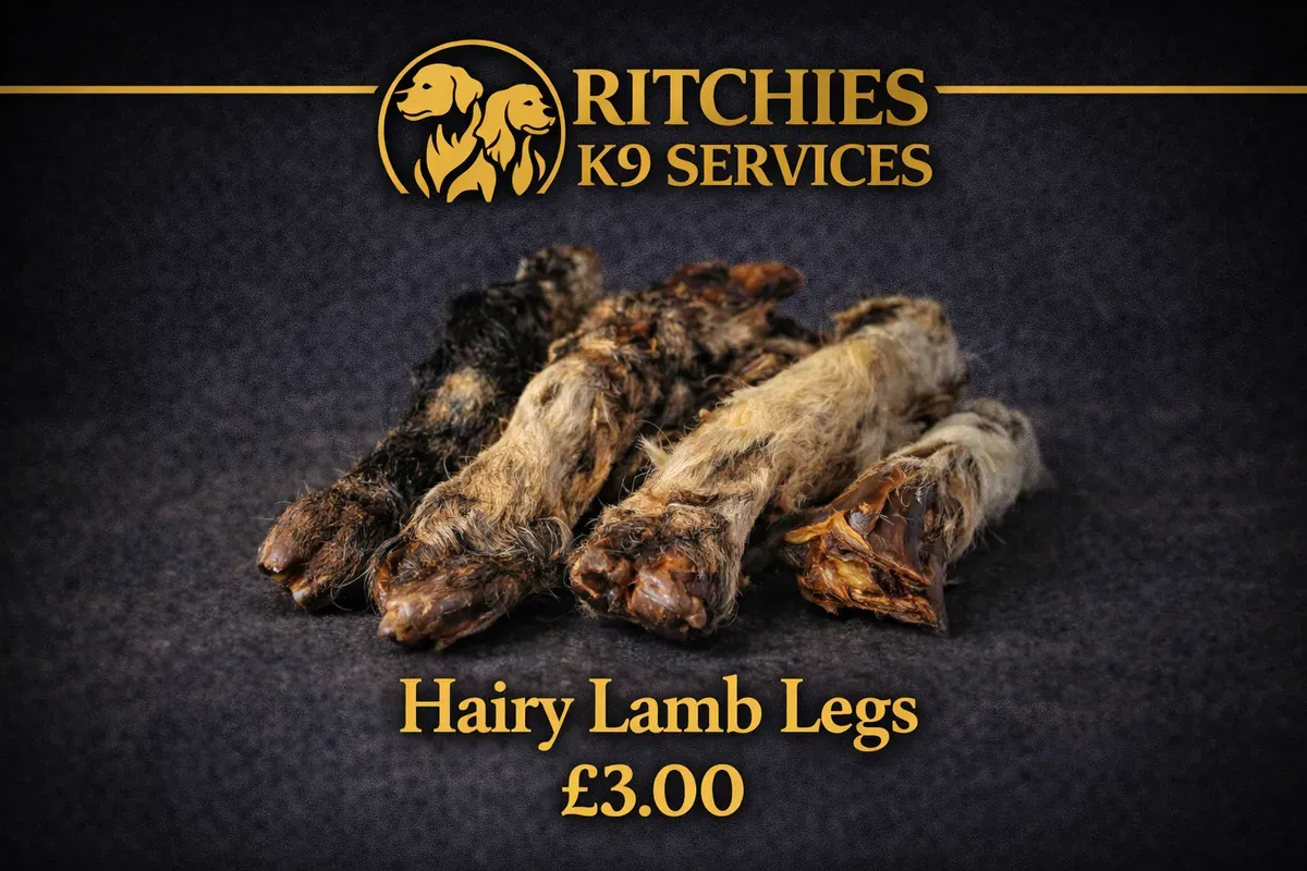 8228910673929-m6ipscoxnl0ws5pugpceq-hairy-lamb thumbnail image