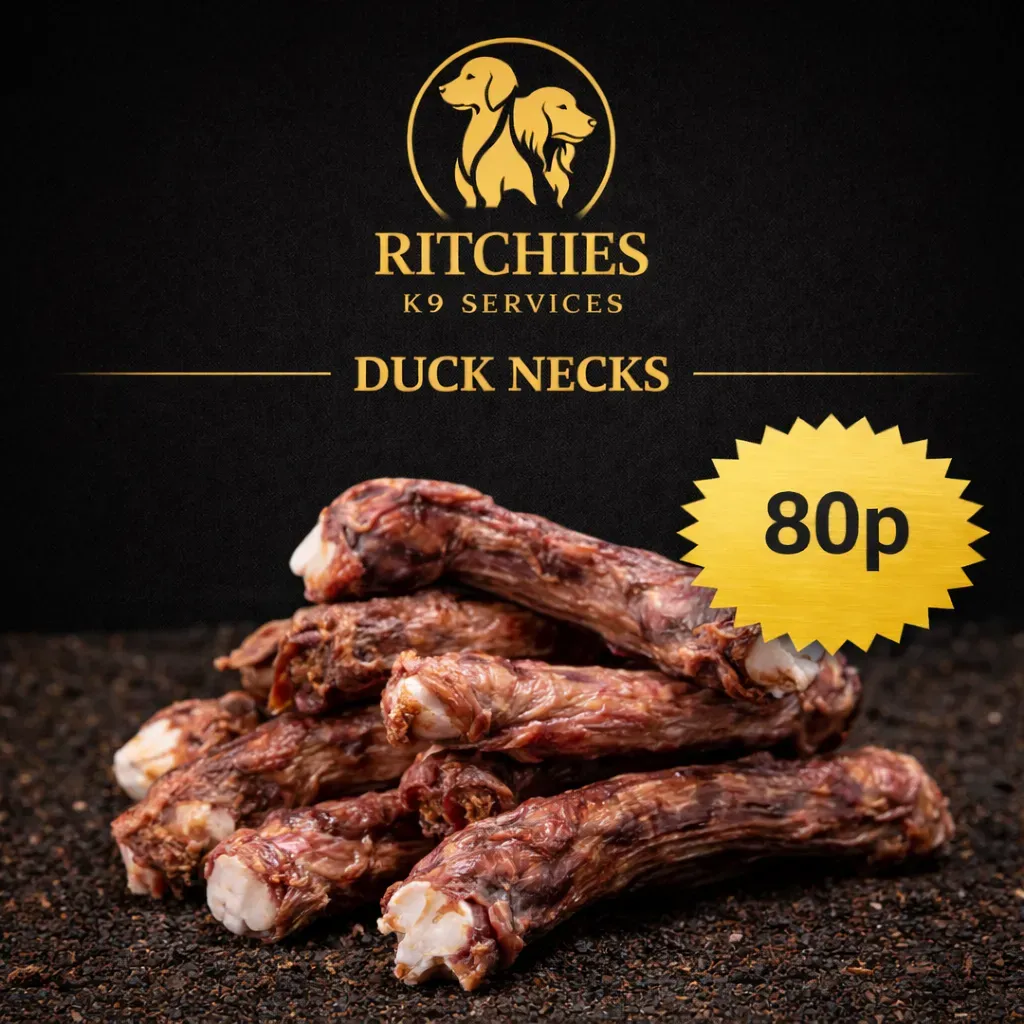 8228921327983-7ua619yoorwghb5gbyp5tn-duck-neck thumbnail image