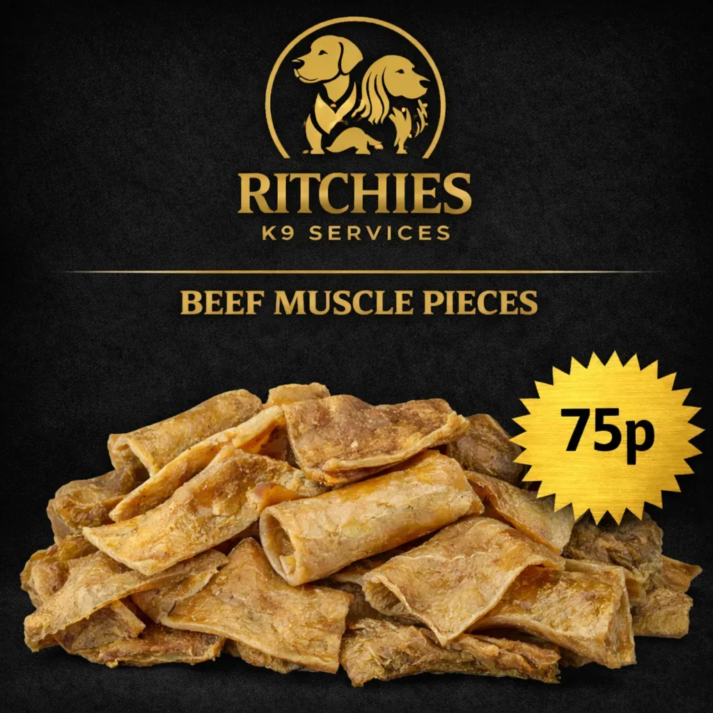 8228936298293-1vs7w9jauvujl89w3esk7-beef-muscle thumbnail image