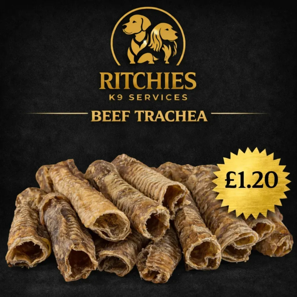 8229010130116-iqjinui7azuw48o98lw-beef-trachea thumbnail image