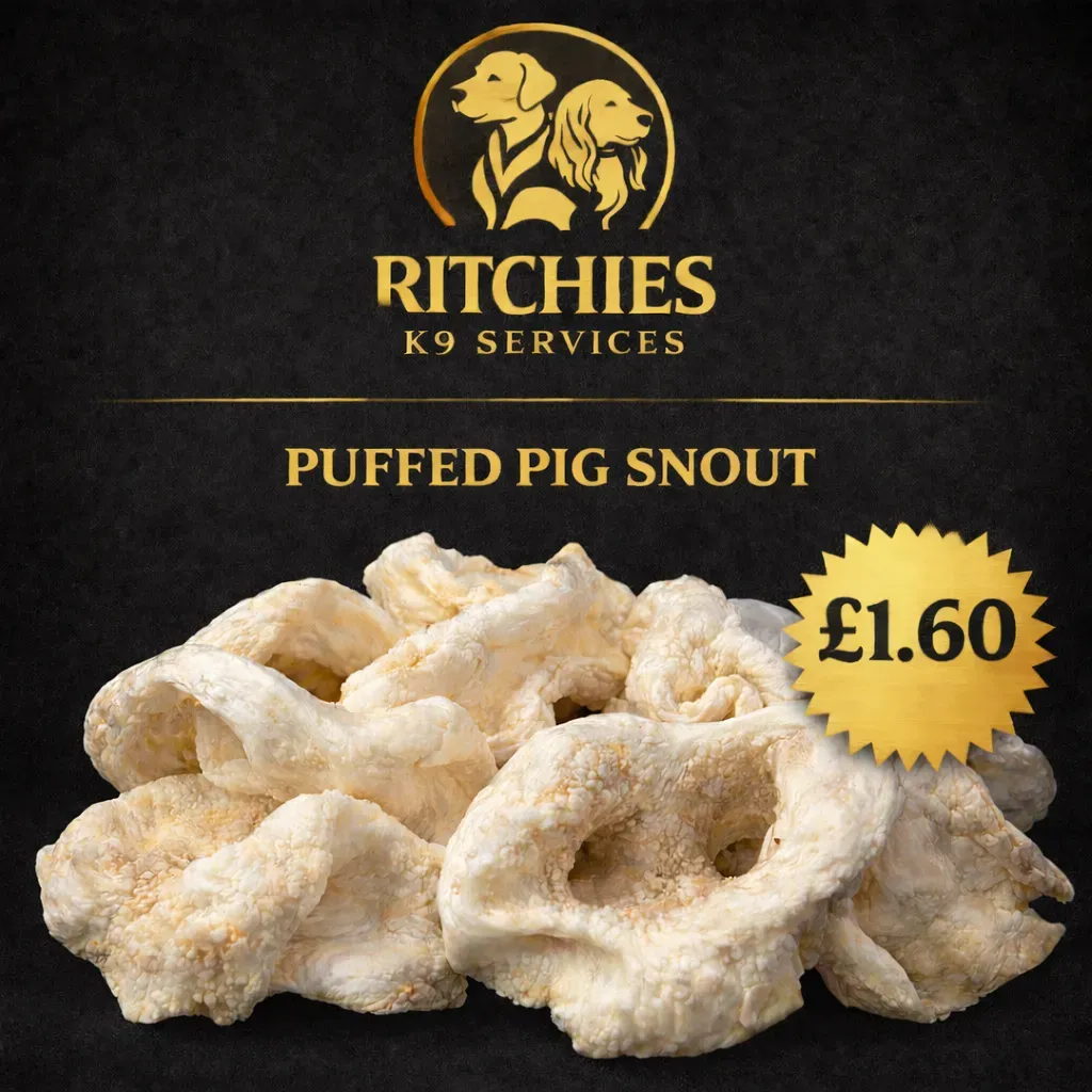 8229013551808-ymsgavh8ncn2dxlozhwg6d-PUFFED-PIG-SNOUT thumbnail image