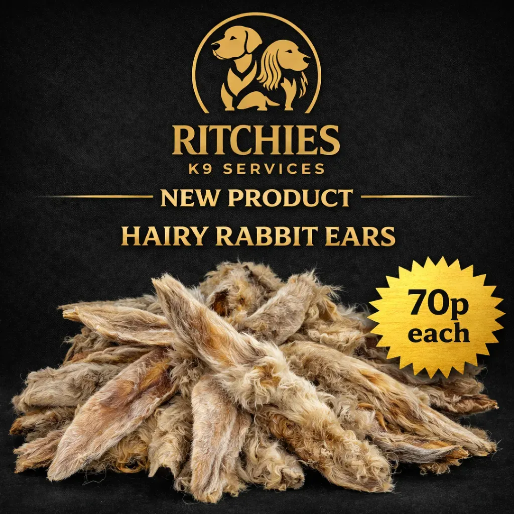 8229077244373-17txy8yf18h63w0zk0fyji-hairy-rabbit-ears thumbnail image