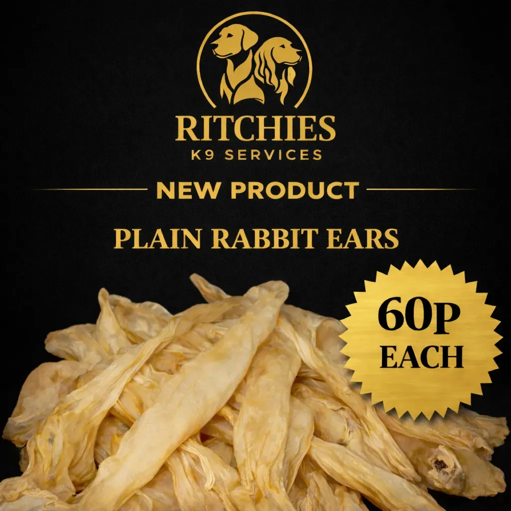 8229077899027-qpsecyf84ew8yg8zucuva-rabbit-ears thumbnail image