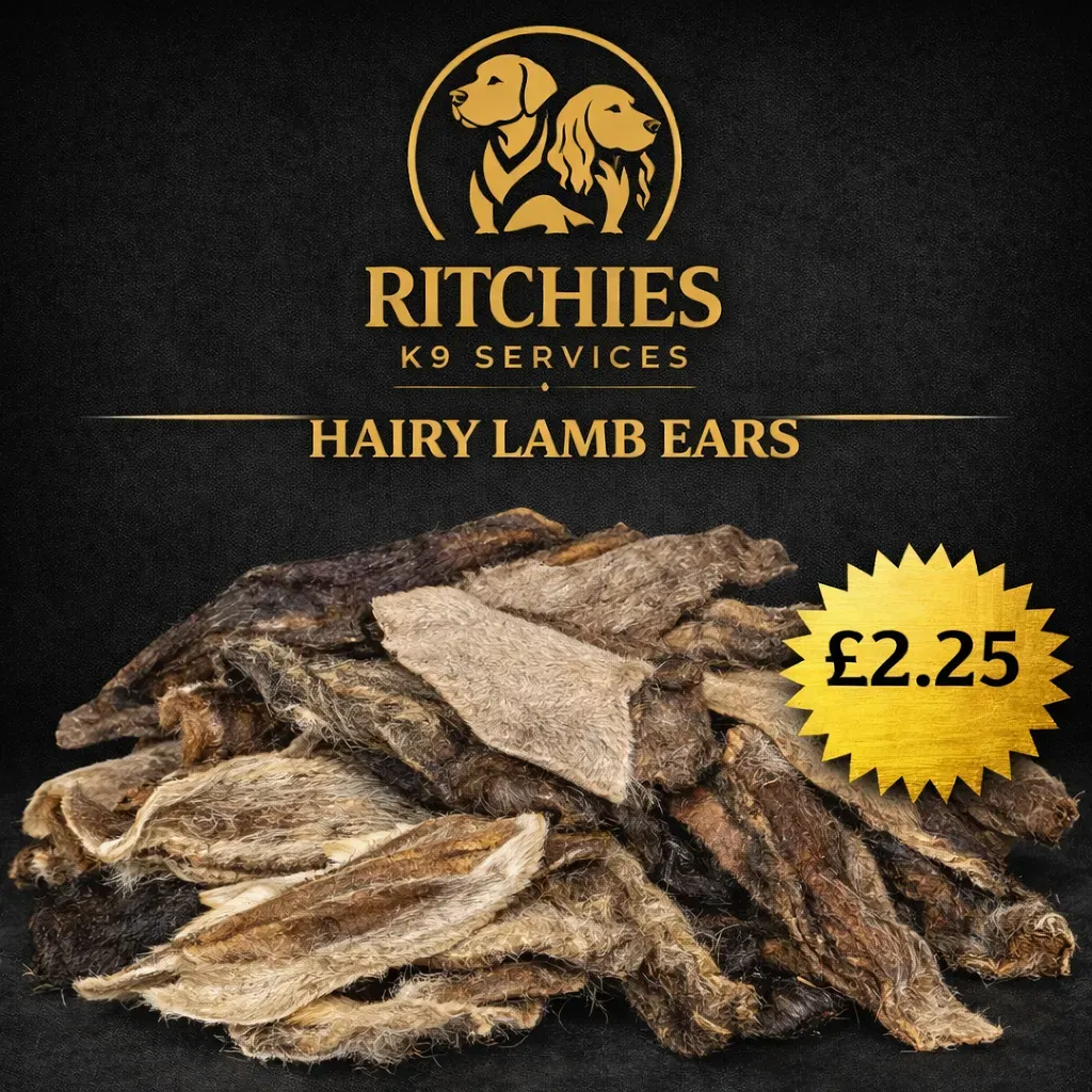 8229078460532-xrhuxbafhfgaqtjriio95v-hairy-lamb-ears thumbnail image