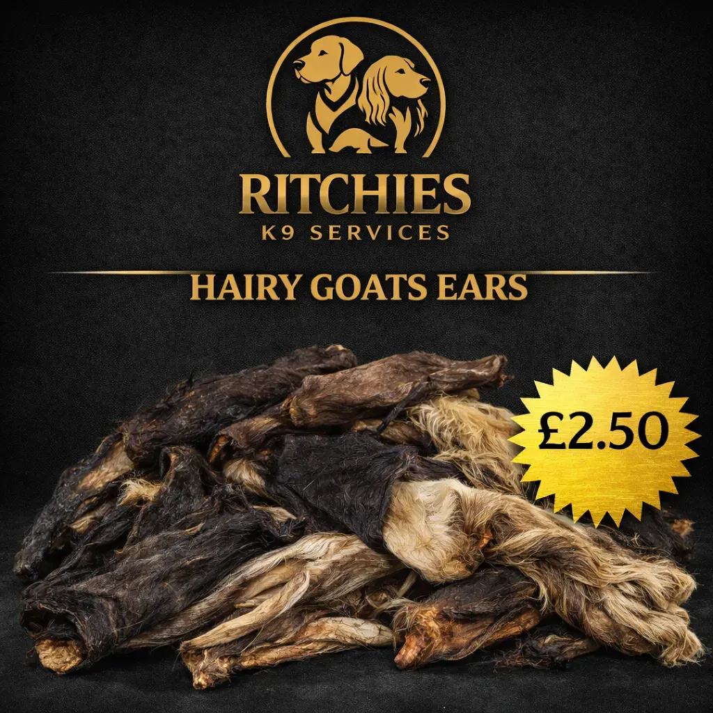 8229078576163-qo57737gh2ufnlnoe6mzm-hairy-goats-ears thumbnail image