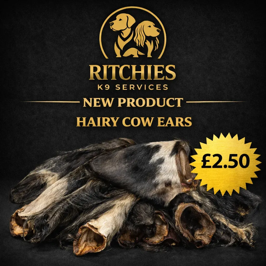 8229081563663-08tls53r266a7wo47f07ea3-hairy-cow-ears thumbnail image