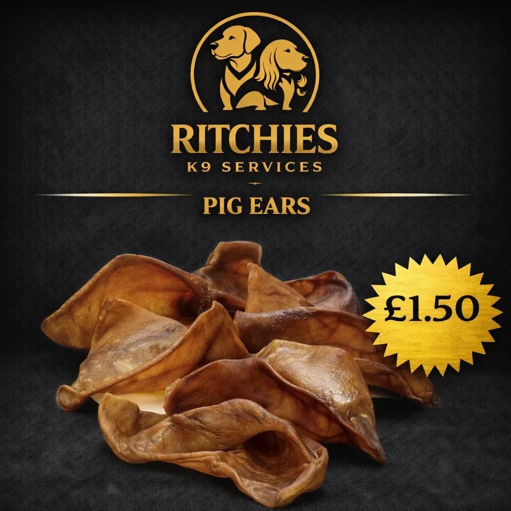 8229081967420-nc76dlvm60awnybt6dlvwk-pig-ears thumbnail image