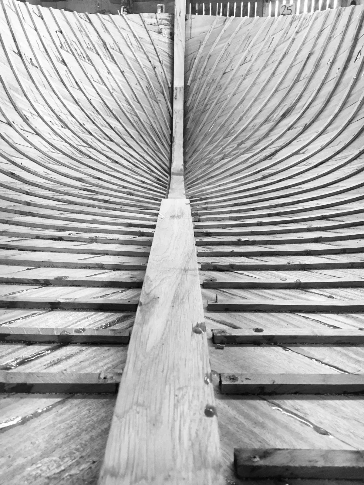 Descriptive text for the image