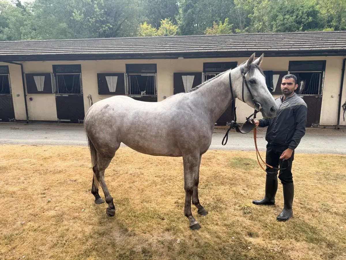 Racehorse Shares