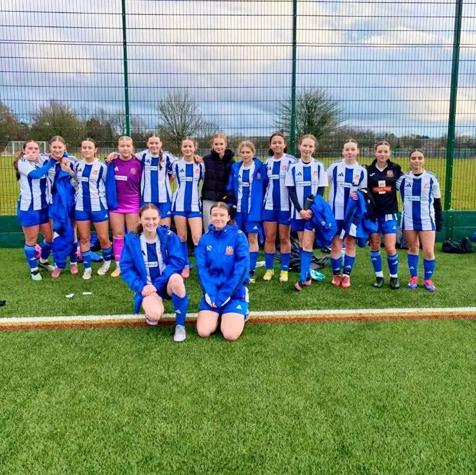 Descriptive text for the image