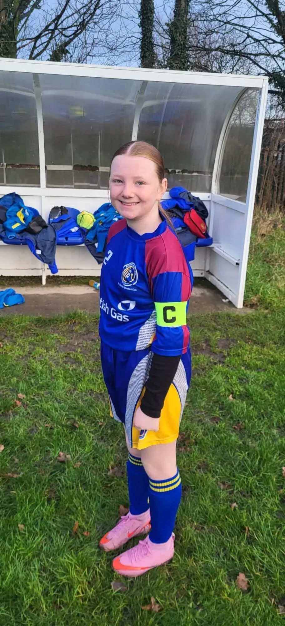 Descriptive text for the image