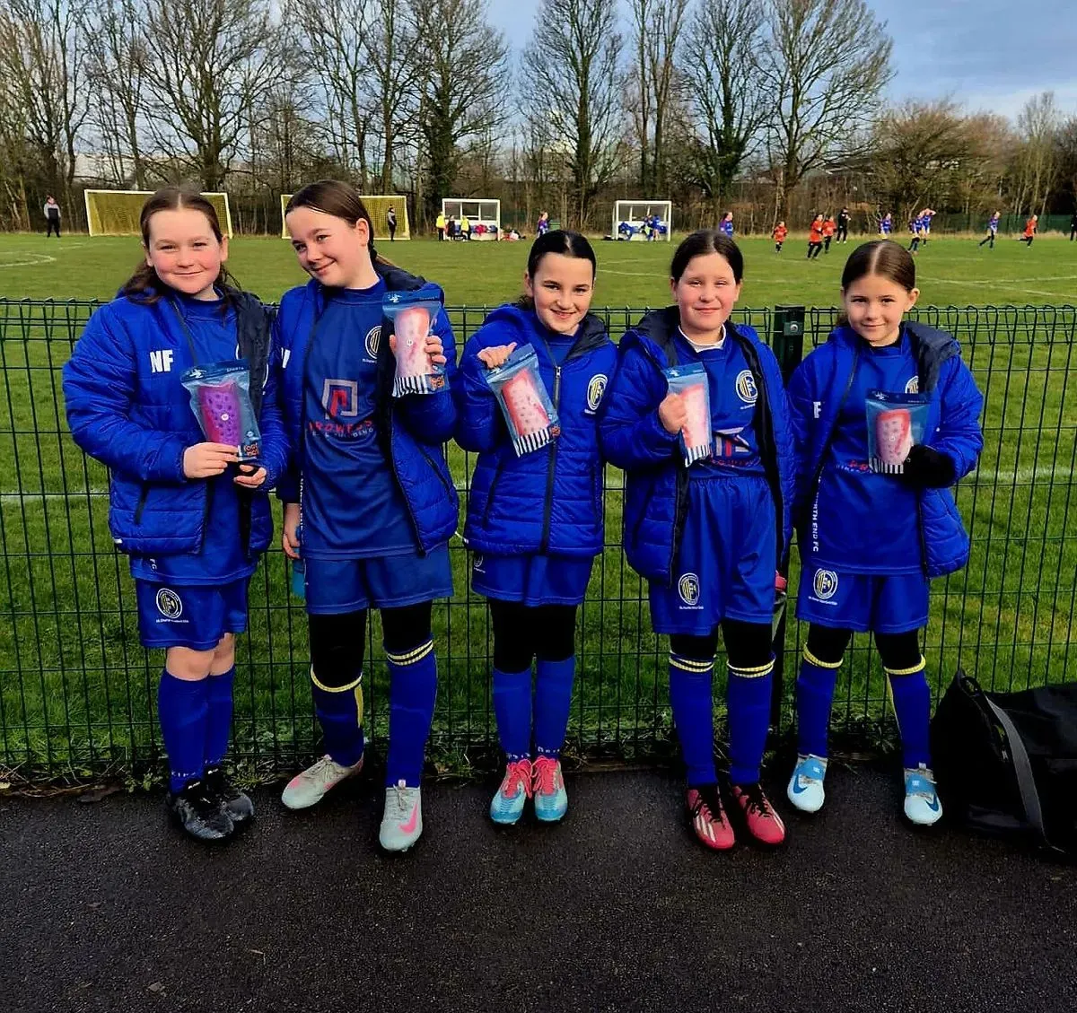 Descriptive text for the image