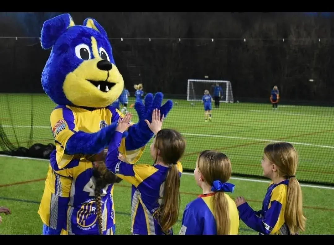 Descriptive text for the image