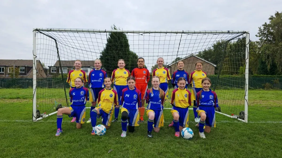 Descriptive text for the image