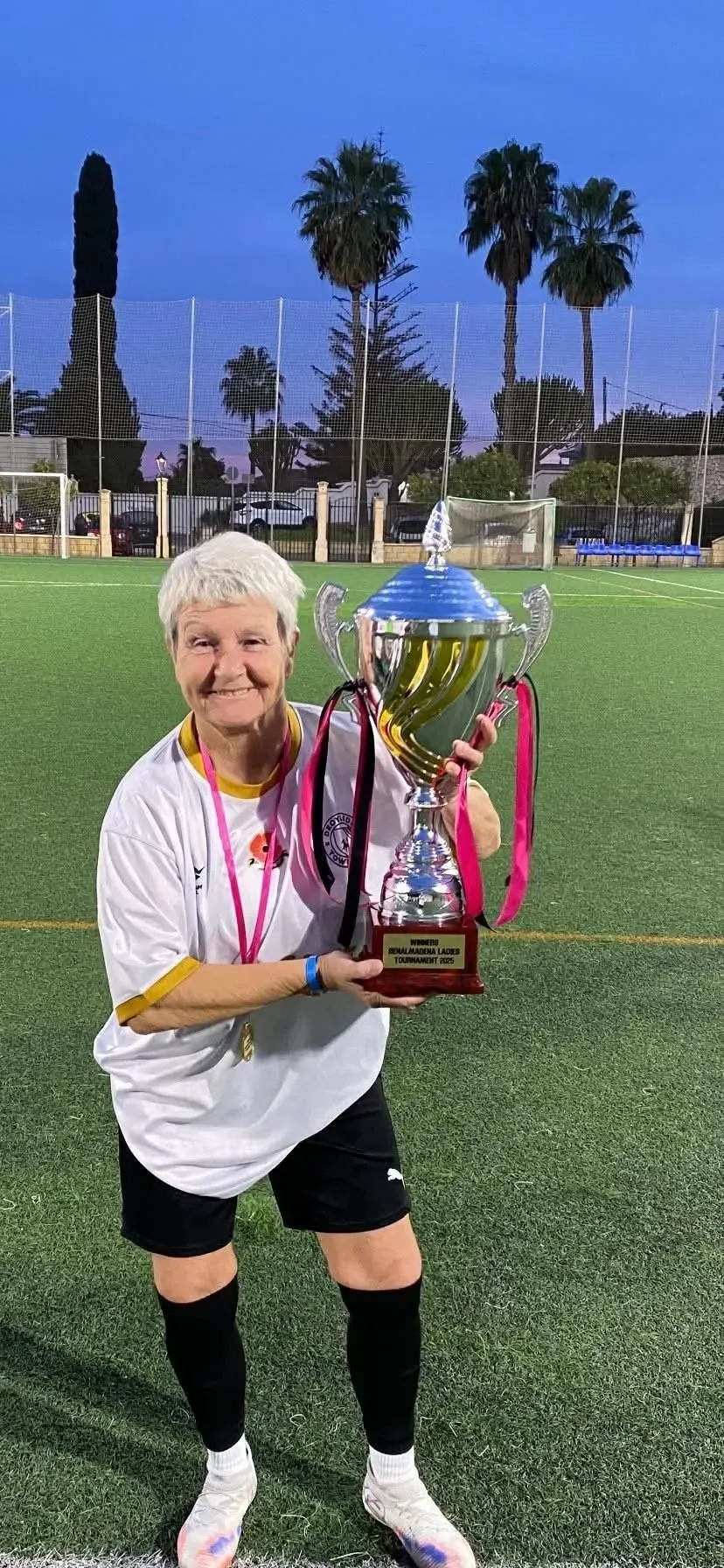 Descriptive text for the image