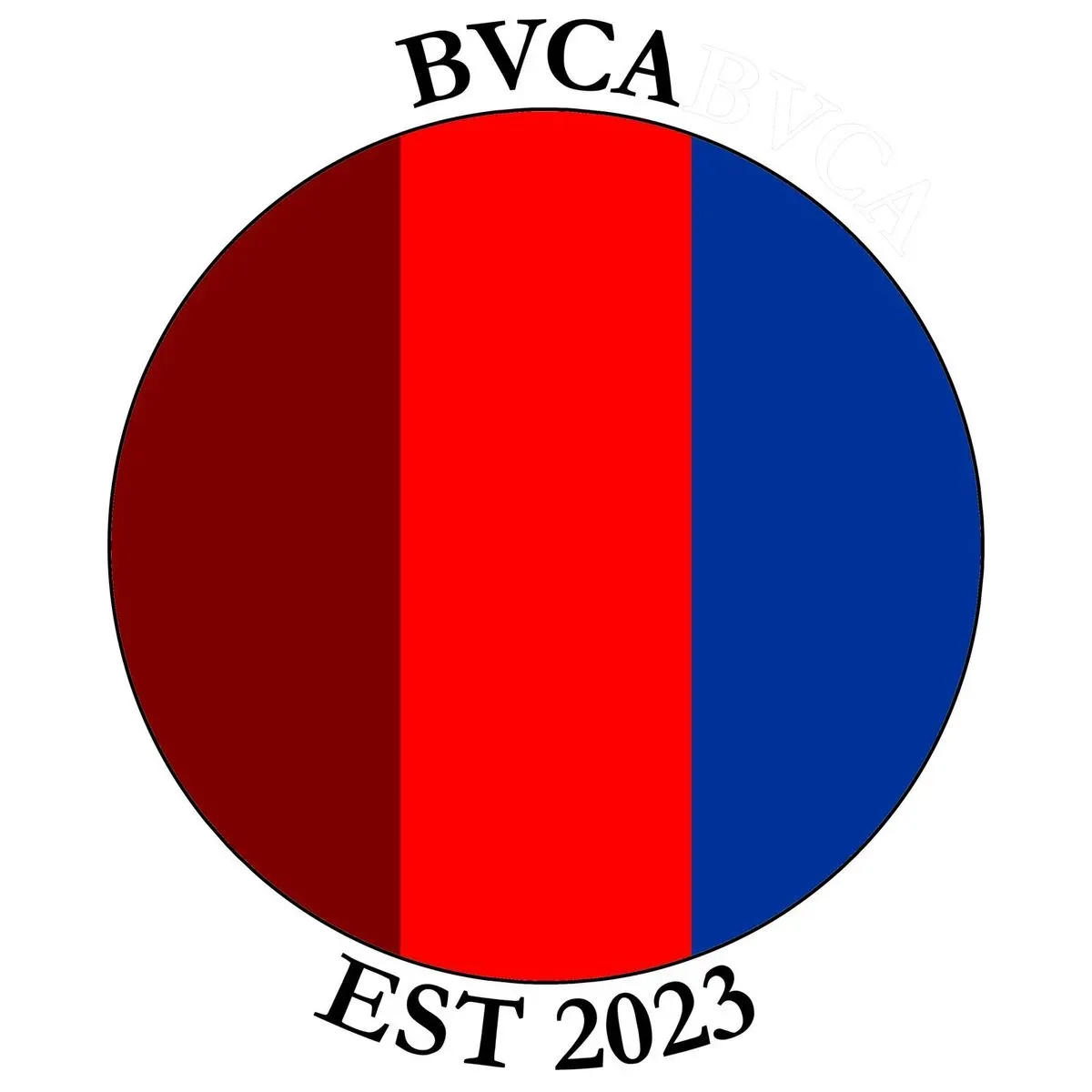 Best Value Consulting Associates Ltd  logo