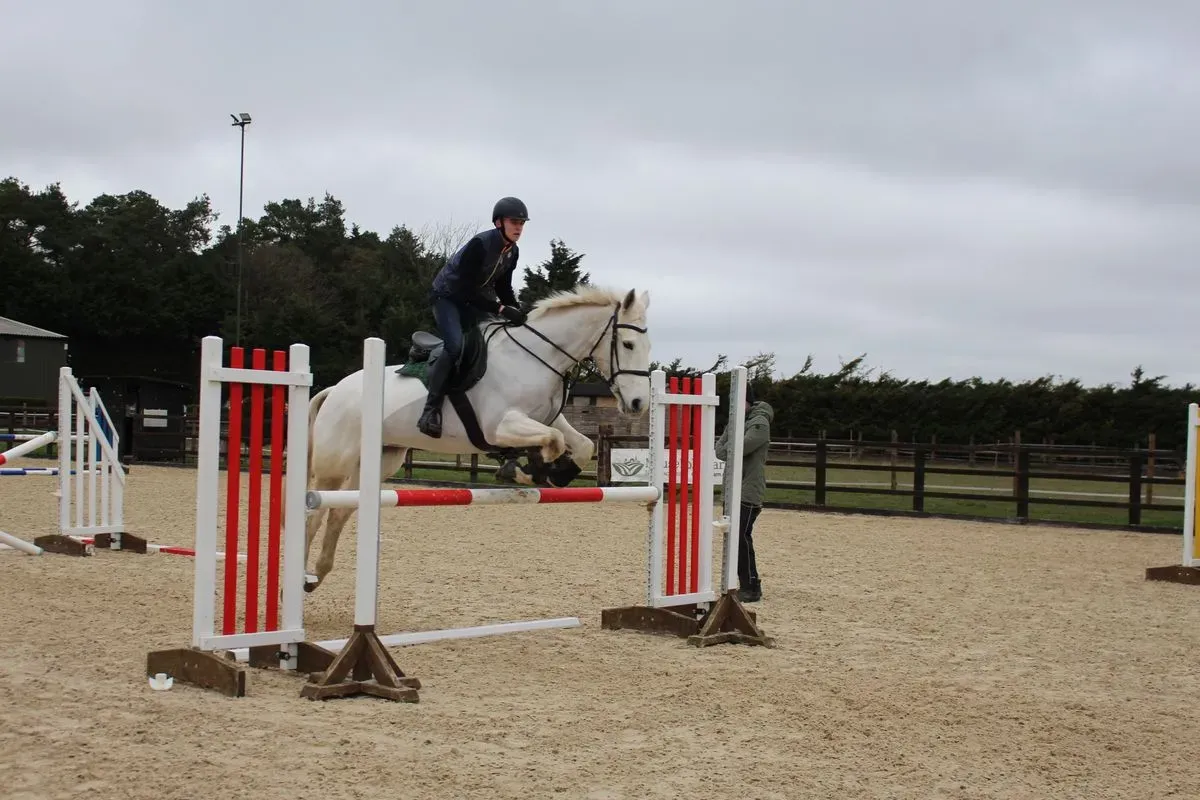 8223998876136-bfxt1pkwvjq17i7cy6a06n-IMG-9889 thumbnail image