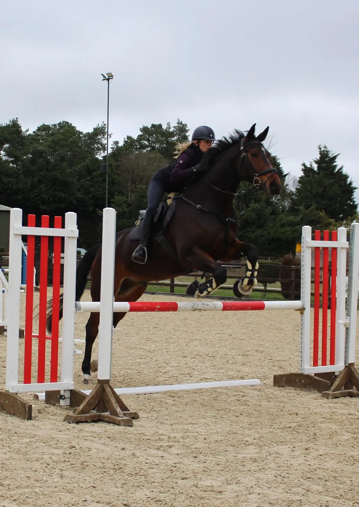 8224679859711-u0rjcmi5u8iikpznjuie-IMG-9887 thumbnail image