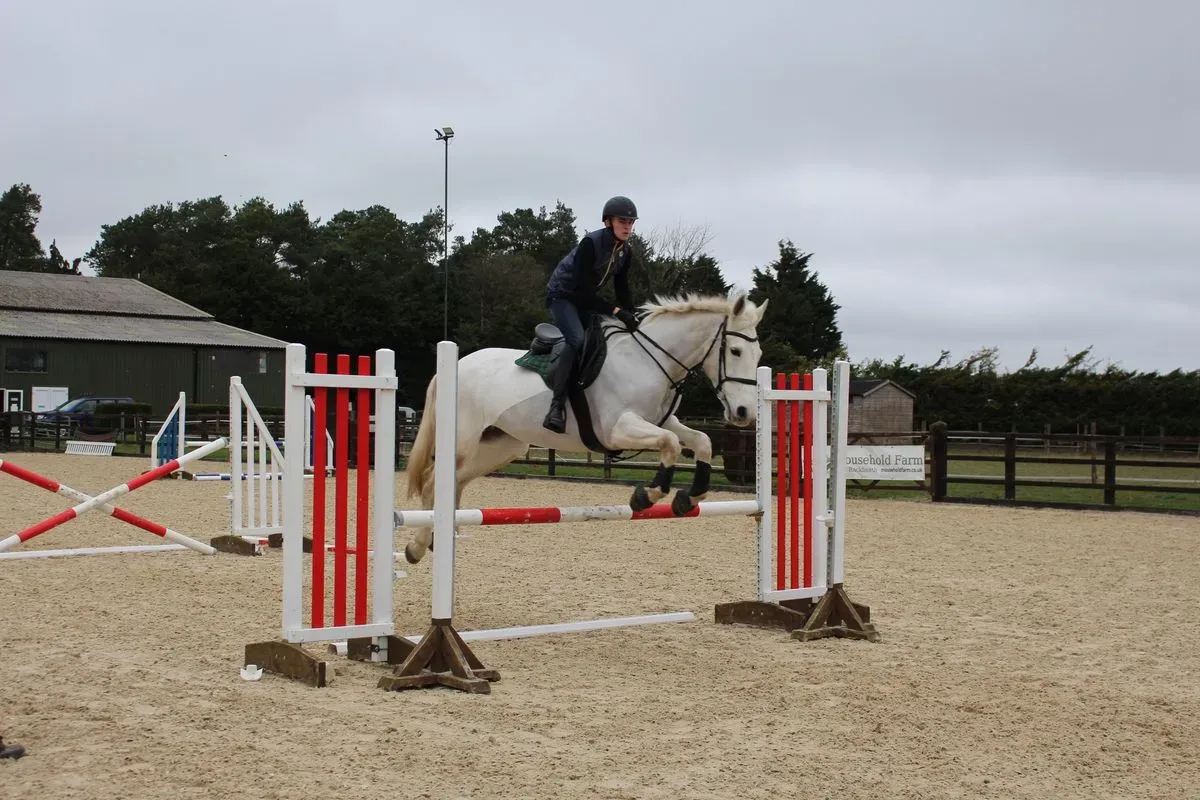 8224679914704-xbzdkgr0s697by7onkbqul-IMG-9886 thumbnail image