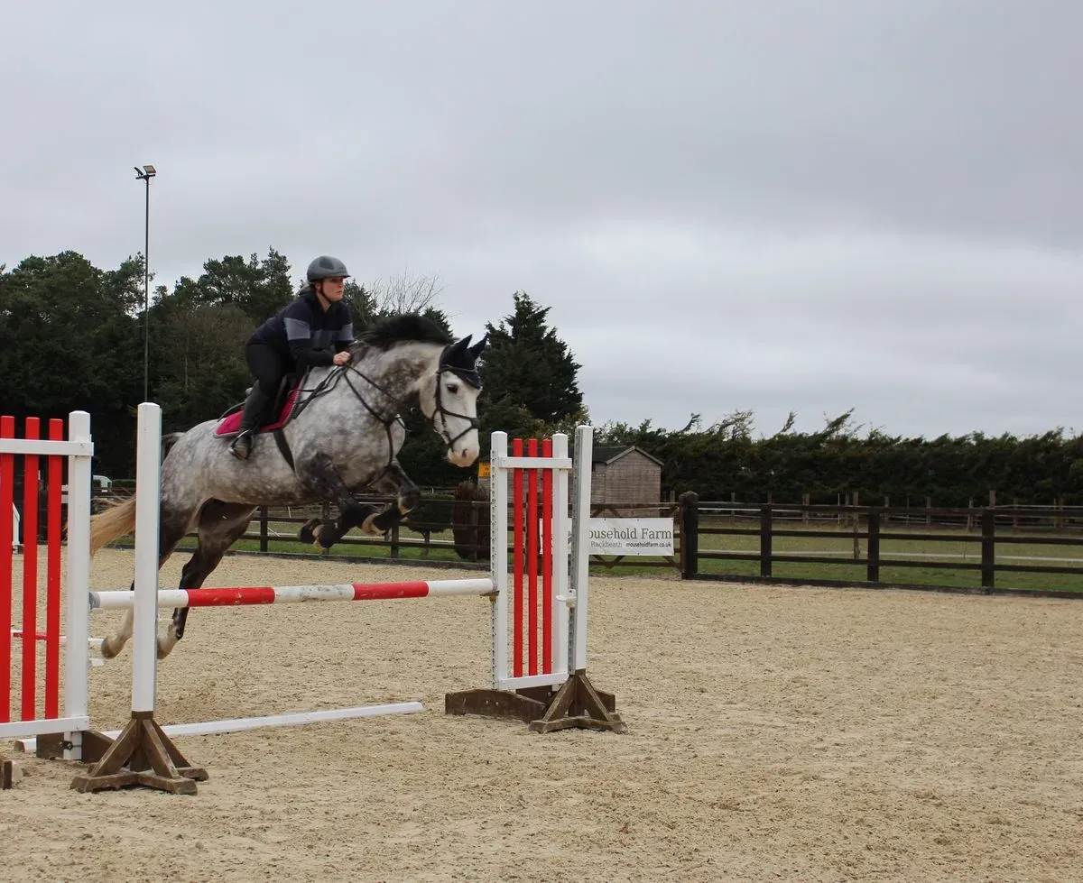 8224679965041-ylczabg5ar9jnm1bm9541t-IMG-9885 thumbnail image