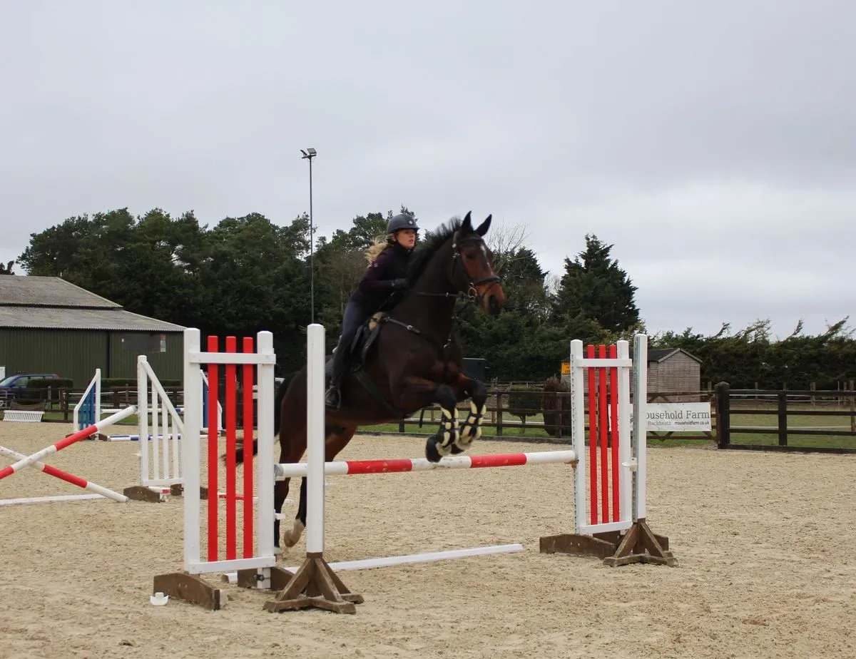 8224680018459-o3qxj6l09bfvzaqpv4k6c-IMG-9884 thumbnail image