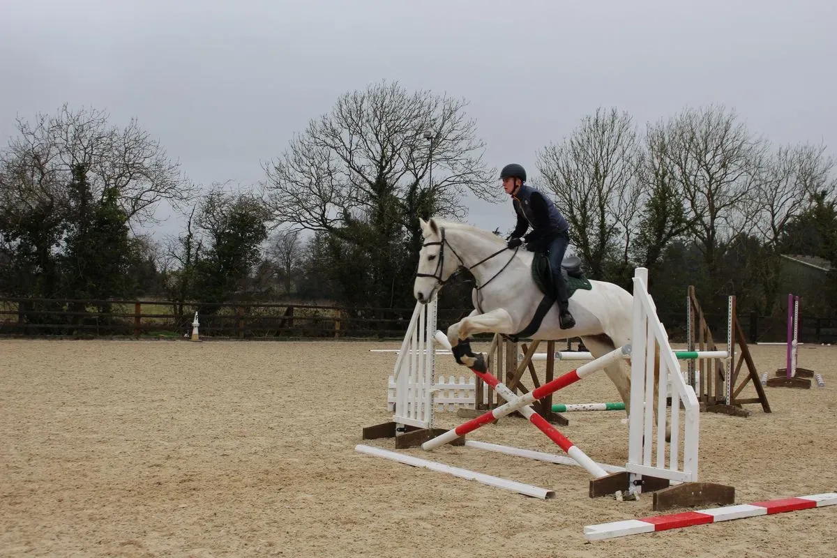 8224680095993-o0asnh3opuvy3f1u4mkam-IMG-9883 thumbnail image