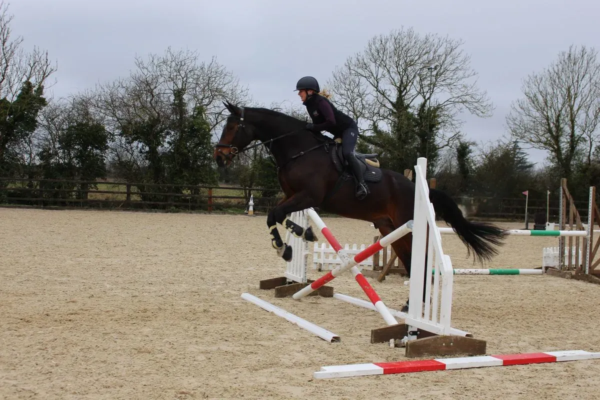 8224680171574-7kz8mrra5tvcqpee5ysoo6-IMG-9882 thumbnail image