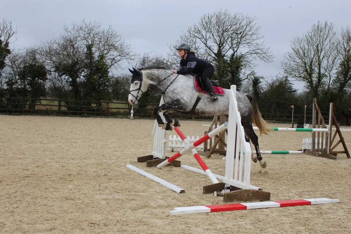 8224680510651-dn00zf8tx3polmxxjm1xi-IMG-9881 thumbnail image