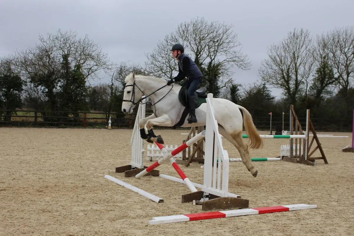 8224680555291-choal6nmrd5w0djeov26xq-IMG-9880 thumbnail image