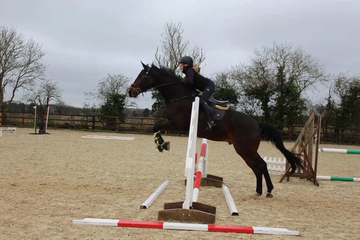 8224680609279-7xat9eqkazd7020ze4b6b-IMG-9879 thumbnail image