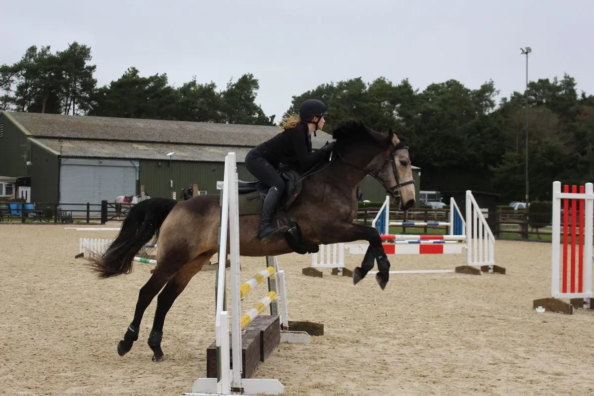 8224861070861-9sq8zv7v0tg0tdva7e6mk3-IMG-9877 thumbnail image