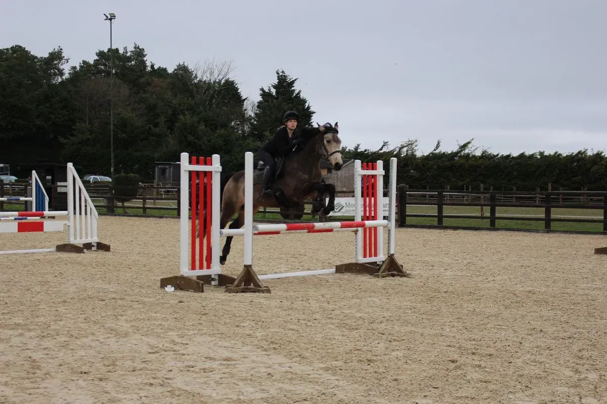 8224861120843-crjnqoiqbo44z6q27xgzhm-IMG-9876 thumbnail image