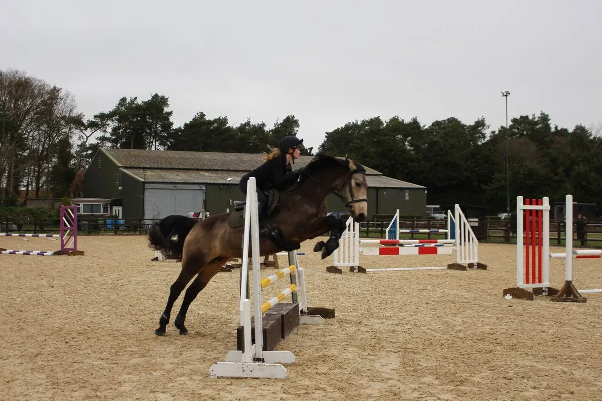 8224861153726-ajewefpincp55tanzjk6xv-IMG-9875 thumbnail image