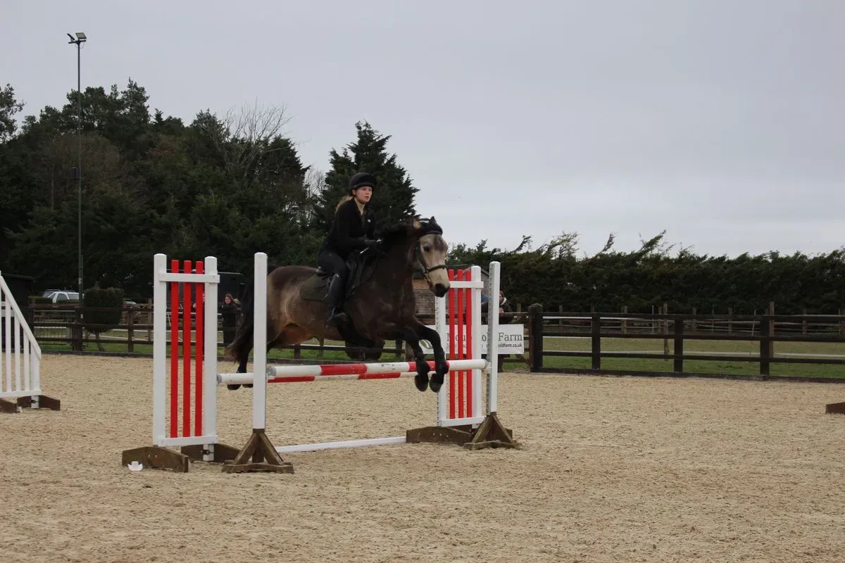 8224861195252-lusoe3jzcyfjpccehzwjif-IMG-9873 thumbnail image