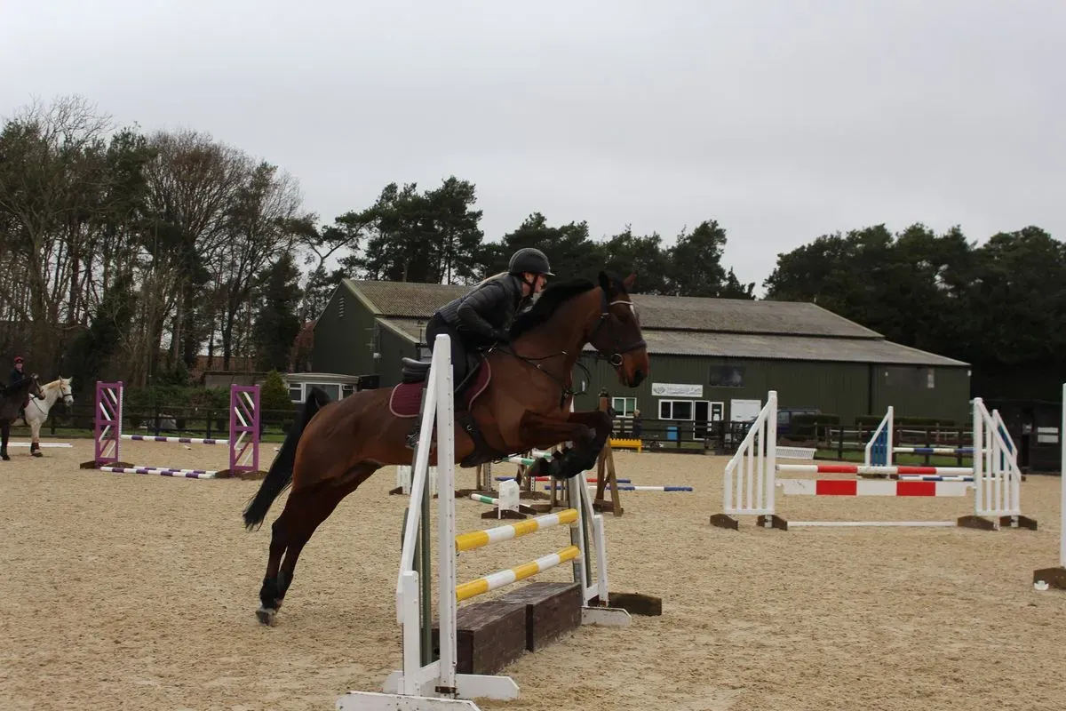 8224861241641-zdwl2y0ej7ss694uusgn3-IMG-9871 thumbnail image