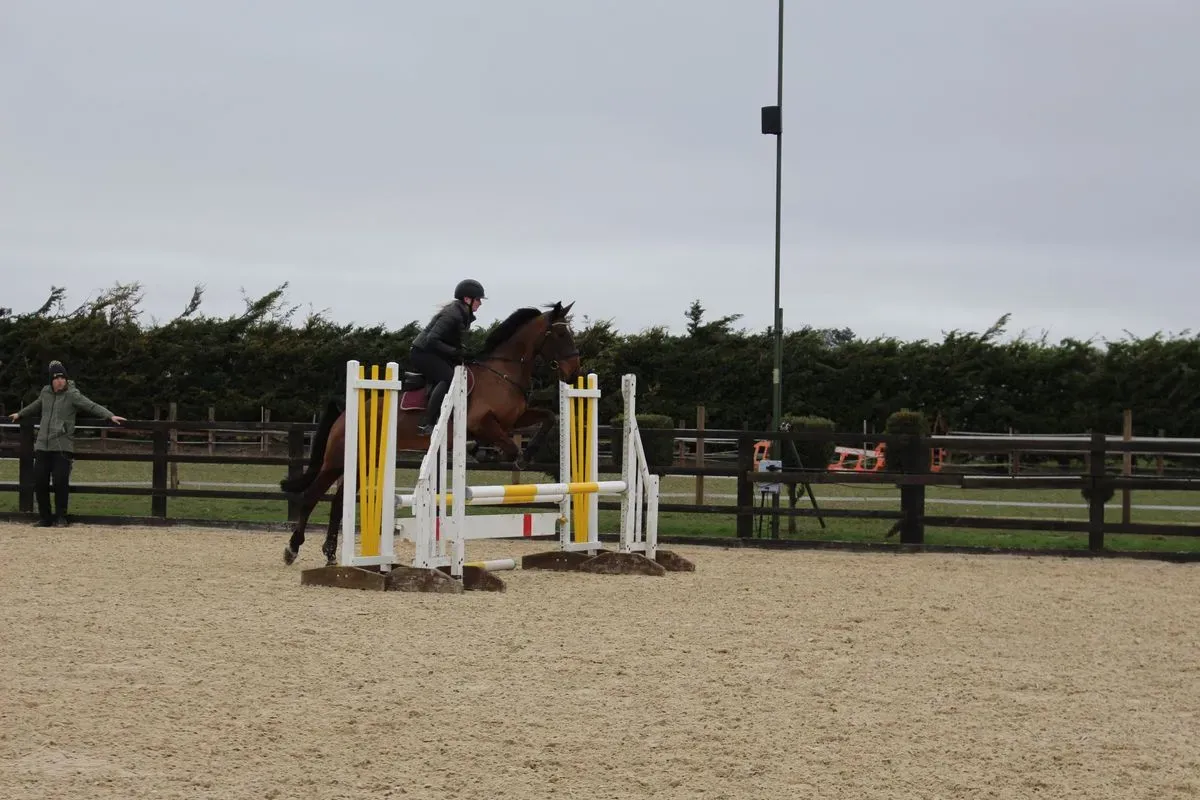 8224861315455-e1dd1qhu6p6q4b5gdrda9n-IMG-9865 thumbnail image