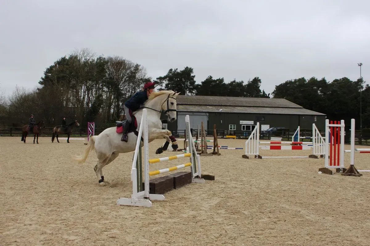 8224861414423-9opdkv43fzoczw9nea6wha-IMG-9858 thumbnail image