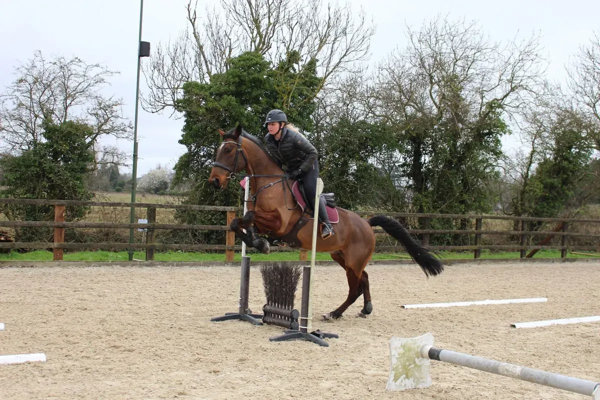 8224861508888-9yxrucpzizm32qslsk8flf-IMG-9852 thumbnail image