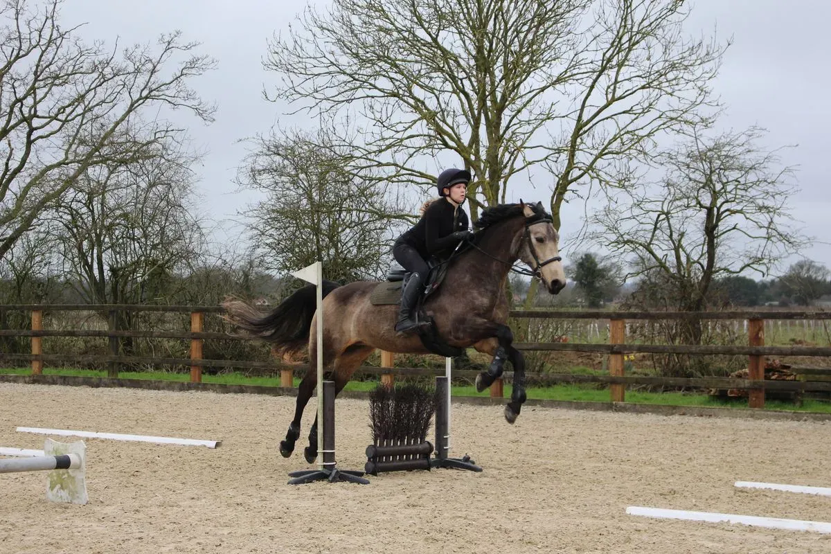 8224861639225-7ycwgexbrhji87ud277mg-IMG-9844 thumbnail image