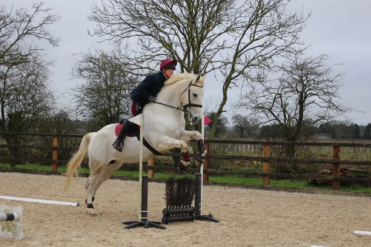 8224861684856-izg5w3oczr63nhugda4tc-IMG-9843 thumbnail image