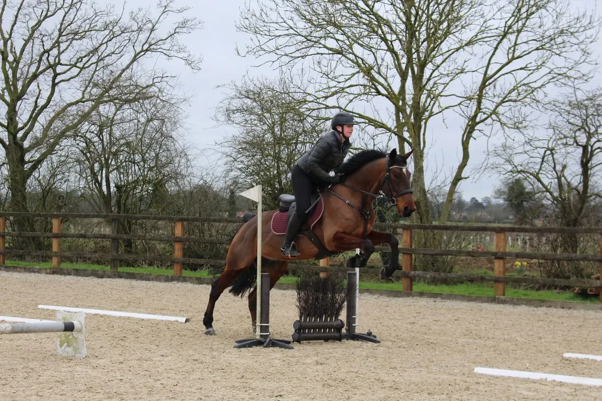 8224861734756-jx3wnvi9bk8innf7o0npo-IMG-9842 thumbnail image