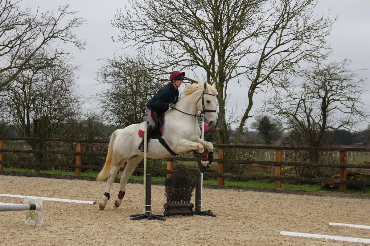 8224861779679-rwbpdw5n3qiixo5b3vfa2e-IMG-9840 thumbnail image