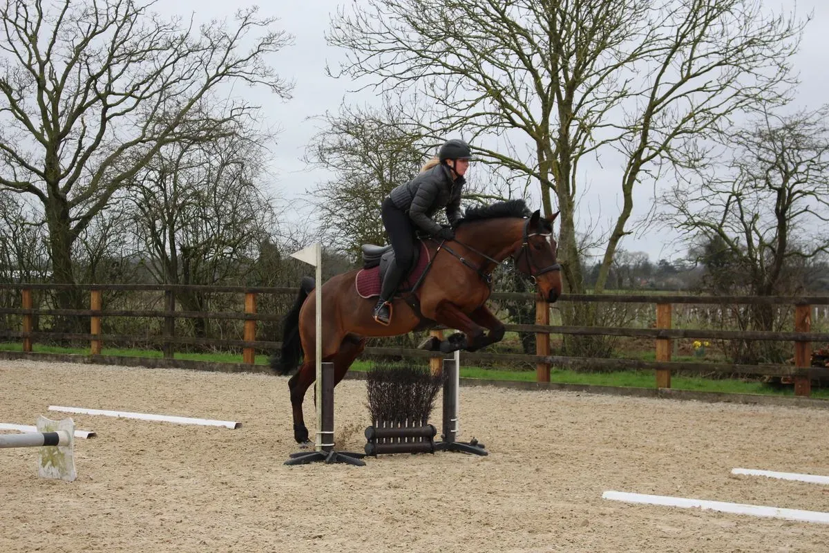 8224861814516-36jv624je66je0ff4v72cm-IMG-9839 thumbnail image